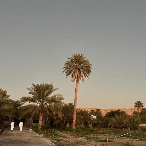 سورة النحل (طارق يوسف عرفه).m4a
