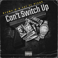 Cant switch up ft Parkside plugs & acal