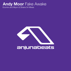 Fake Awake (Original Mix)