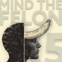 Mind the Felon (one) • JAZZsutra