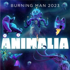 Burning Man 2023 - Dusty Booty Ranch Set (post-burn recording)
