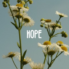 Ptr. - Hope