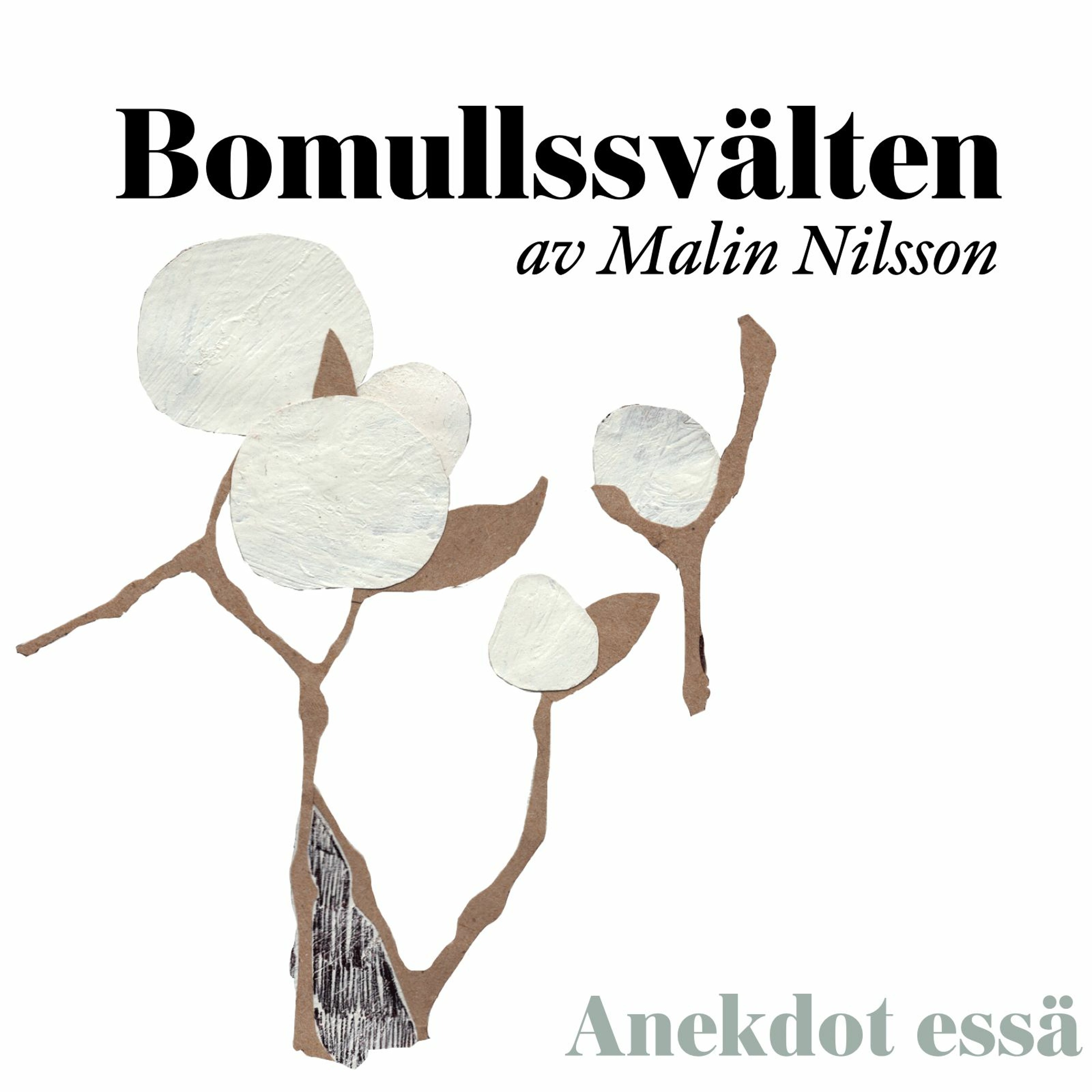 Bildningspodden