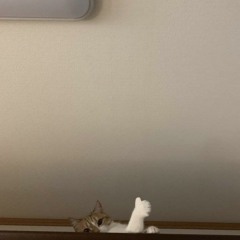 The man who kept the peace in the city said, "Count your sins."