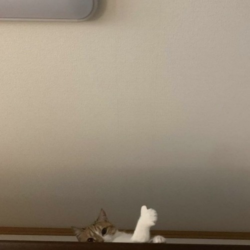 The man who kept the peace in the city said, "Count your sins."