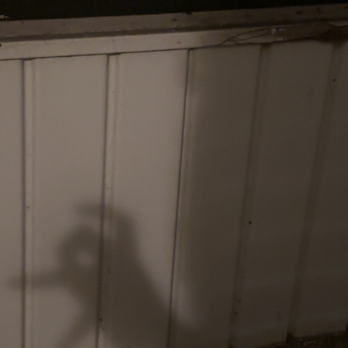 pope / p diewealthy nineguns