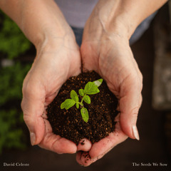 The Seeds We Sow