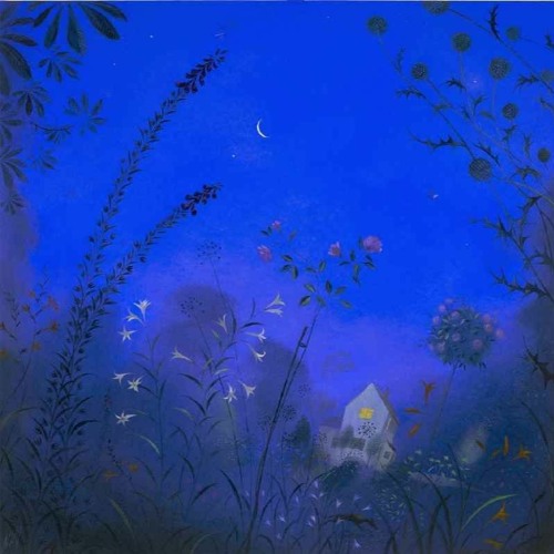 In The Garden At Midnight