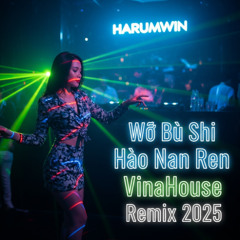 廖鸿飞 - 我不是好男人 (Wo Bu Shi Hao Nan Ren) | VinaHouse Remix 2025 | Harumwin