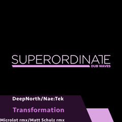 DeepNorth/Nae:Tek - Transformation (Matt Schulz Rmx) [Superordinate Dub Waves]