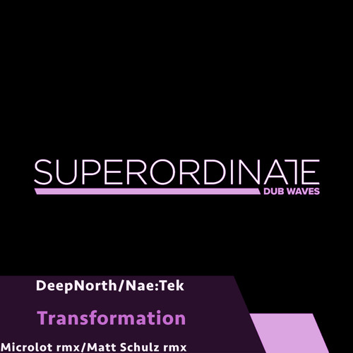 DeepNorth/Nae:Tek - Transformation (Microlot Rmx) [Superordinate Dub Waves]