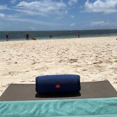 House Music Suckz vol.2