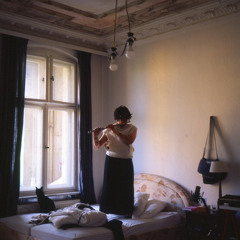 -   $ [$ , շօշշ]