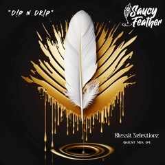 Saucy Feather ~ "D!p N Dr!p" :Blessit Selectionz Guest Mix 04: