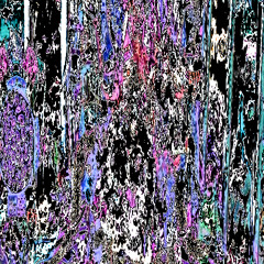 cats dont like me slow--