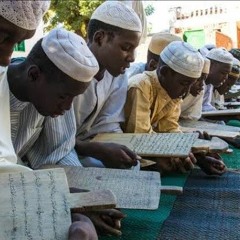 سورة الإنسان | محمد سالم