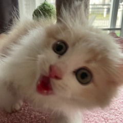 Stay With Me ฟรีสไตล์