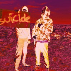 FalseStateofMind ft. purpleplease(prod. sanvictor)