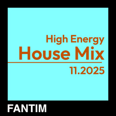 Fantim November 2025 Mix