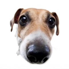 Кузьма Скрябін - Остання Сигарета (sped up)