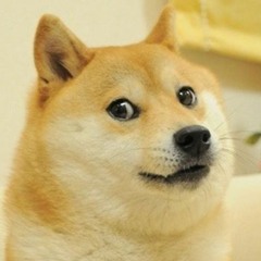 Dogein' Around + Watch me Kek now Watch me Doge!
