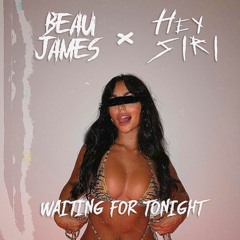 Waiting For Tonight (HEY SIRI X BEAU JAMES BOOTLEG)