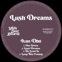 PREMIERE: Ivan Dbri - Lush Dreams [White Deer Records]