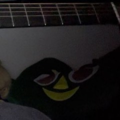 we found 7 dead bats in a closet at my old highschool (mv)