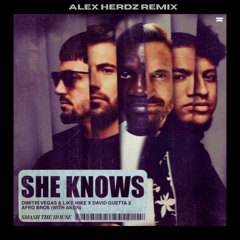 Dimitri Vegas & Like Mike, David Guetta, Afro Bros - She Knows [with Akon] (Alex Herdz Remix)