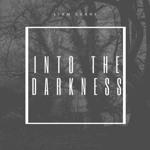 Liam Evans - INTO THE DARKNESS (Strumm. Style)