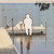 Artwork for you left and i still talk to you