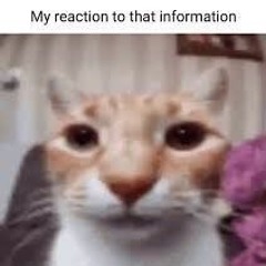 PvZ - ???