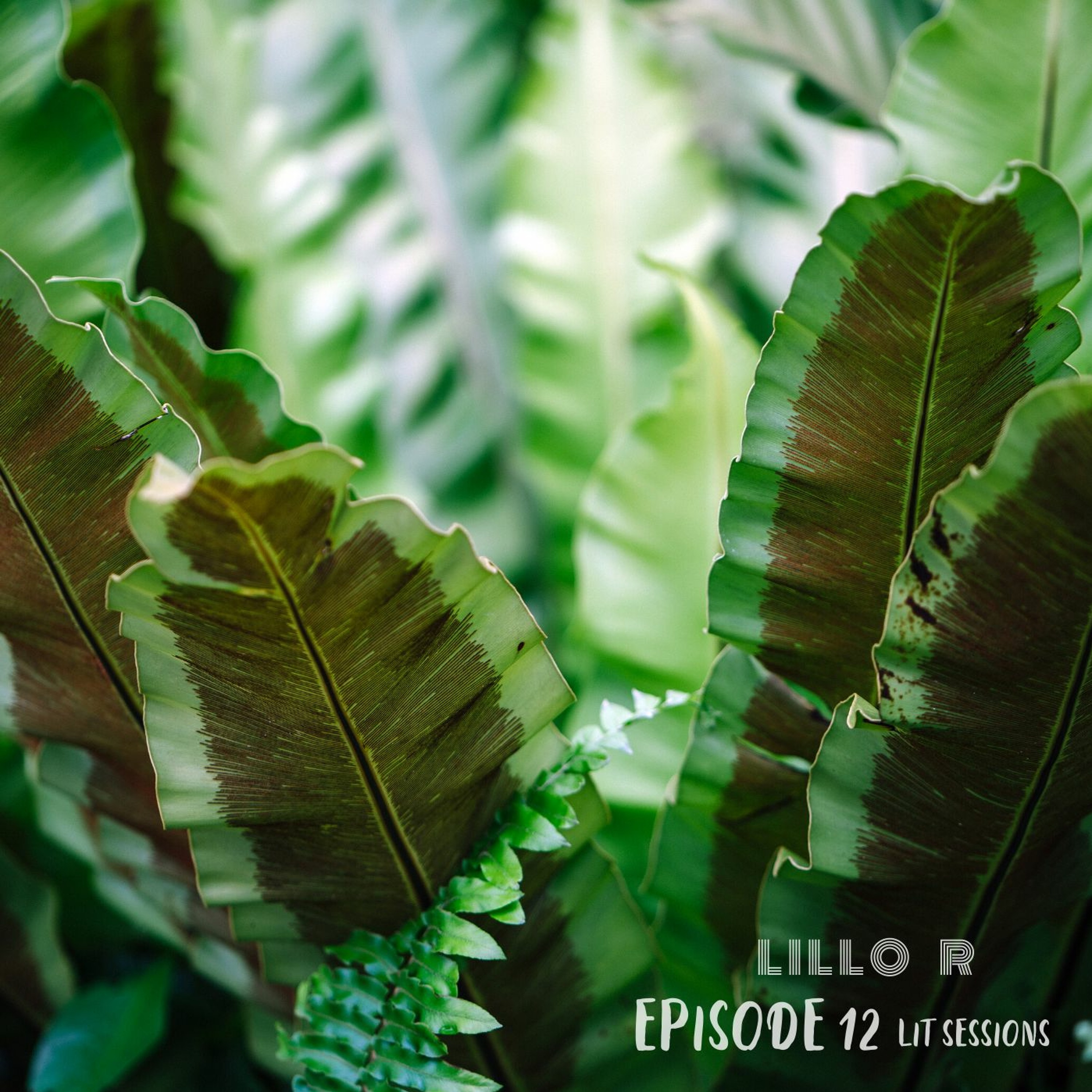 Lit Sessions Podcast