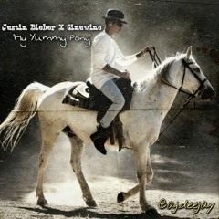 Justin Bieber X Ginuwine - 'My Yummy Pony' - @aj.deejay