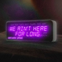 We Ain't Here For Long Remix