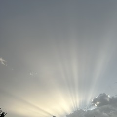 Clarity