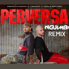 PEDRO SAMPAIO, J Balvin - PERVERSA ( Nguimbi Remix )