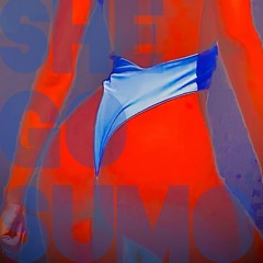 SHE GO SUMO (Radio Edit)