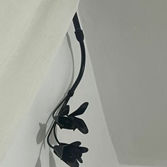 חזקים