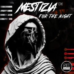 Mestizia CRK - FOR THE NIGHT (Original Mix) OUT NOW