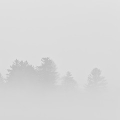 At Dark Dawn