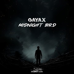 Midnight Bird (Radio Edit)