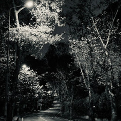 Soruyorum sana hangi rüzgardasın (1)