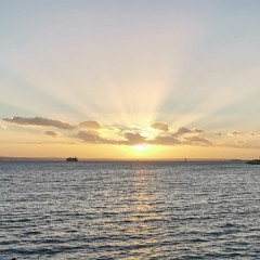 live vid test skeleton.mp3