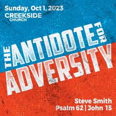 The Antidote for Adversity (Psalm 62; John 15)