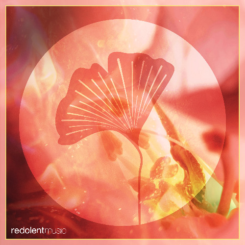 RDT090 Ella Romand - Pachamama feat. Emilia Garth (Including PAAX (Tulum) Remix)