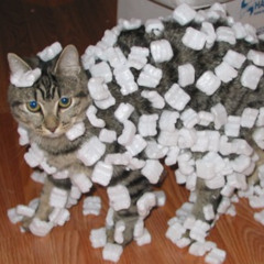 I am abusing my guitar