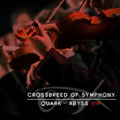 【Preview】Quark - Abyss VIP