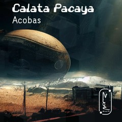 Calata Pacaya- zion 604