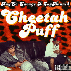 CHEETAH PUFF(KAYSO SAVAGE x Zayhunnid)